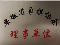 安徽省象棋协会理事单位